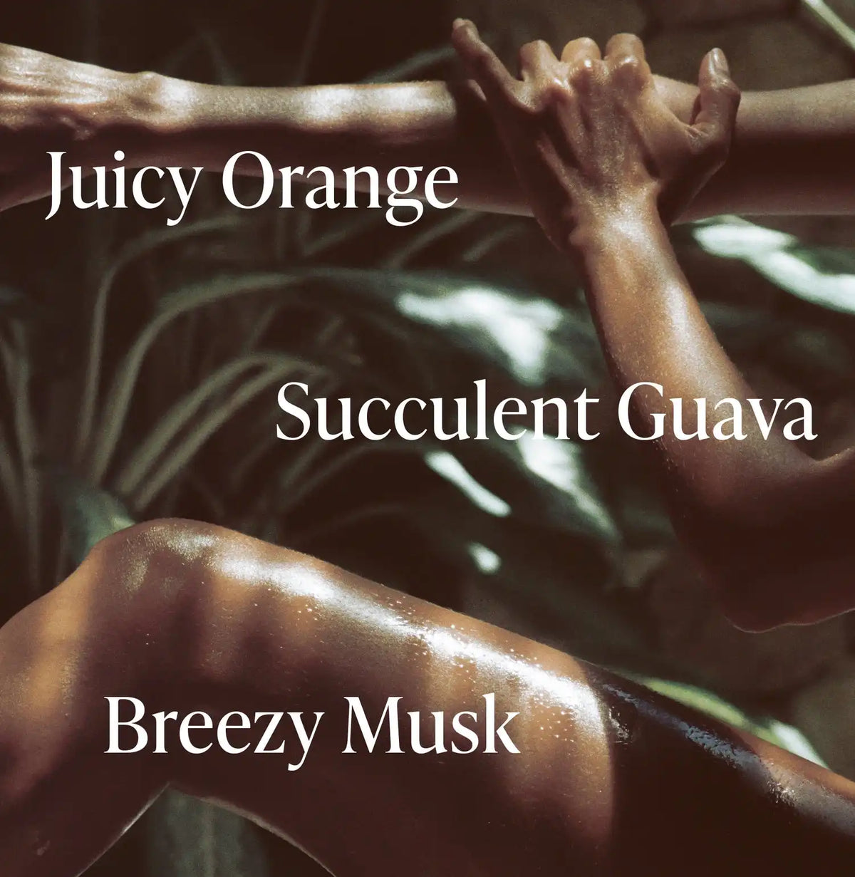 Exotic Pulp - Essentials Set