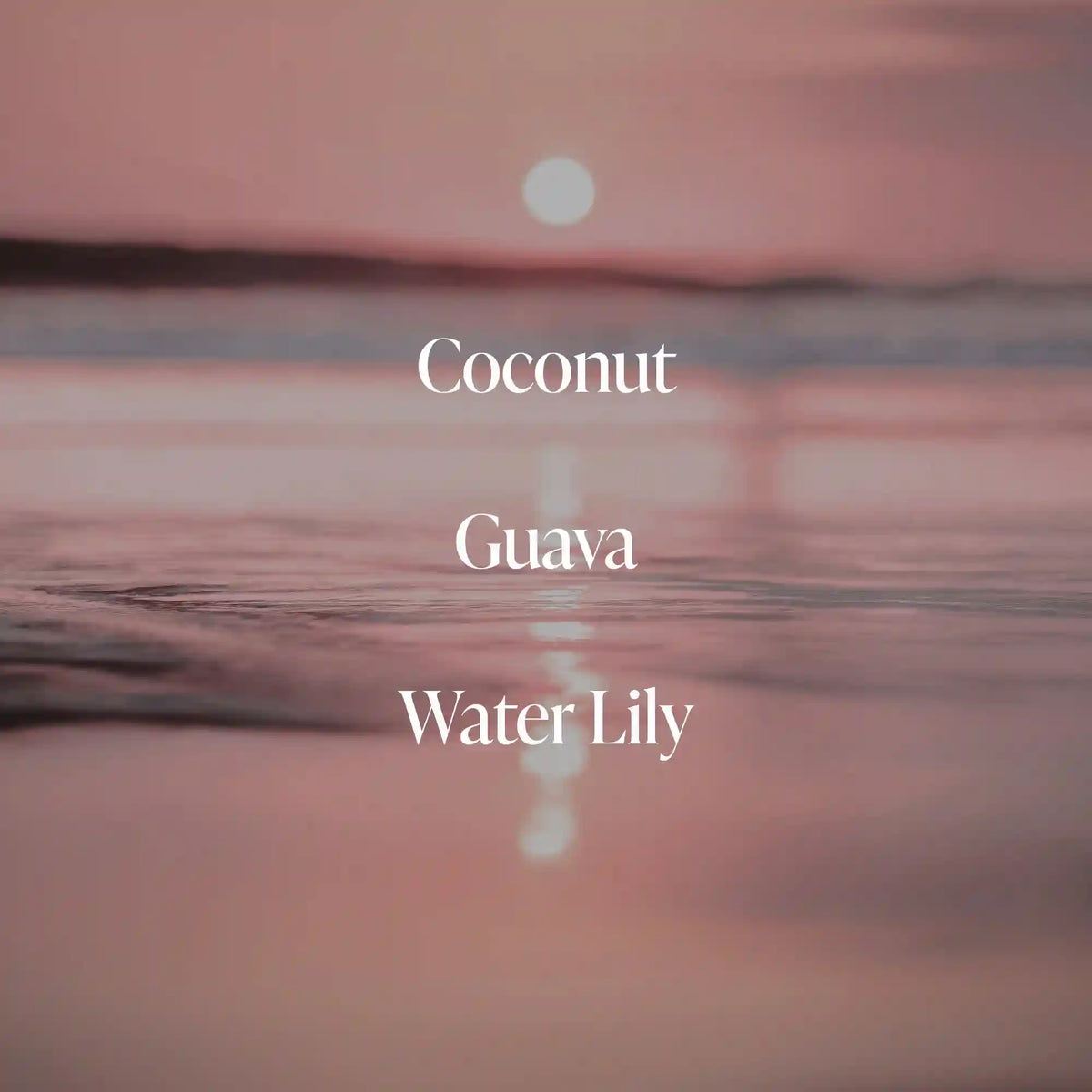 Coral Coast - Body Oil