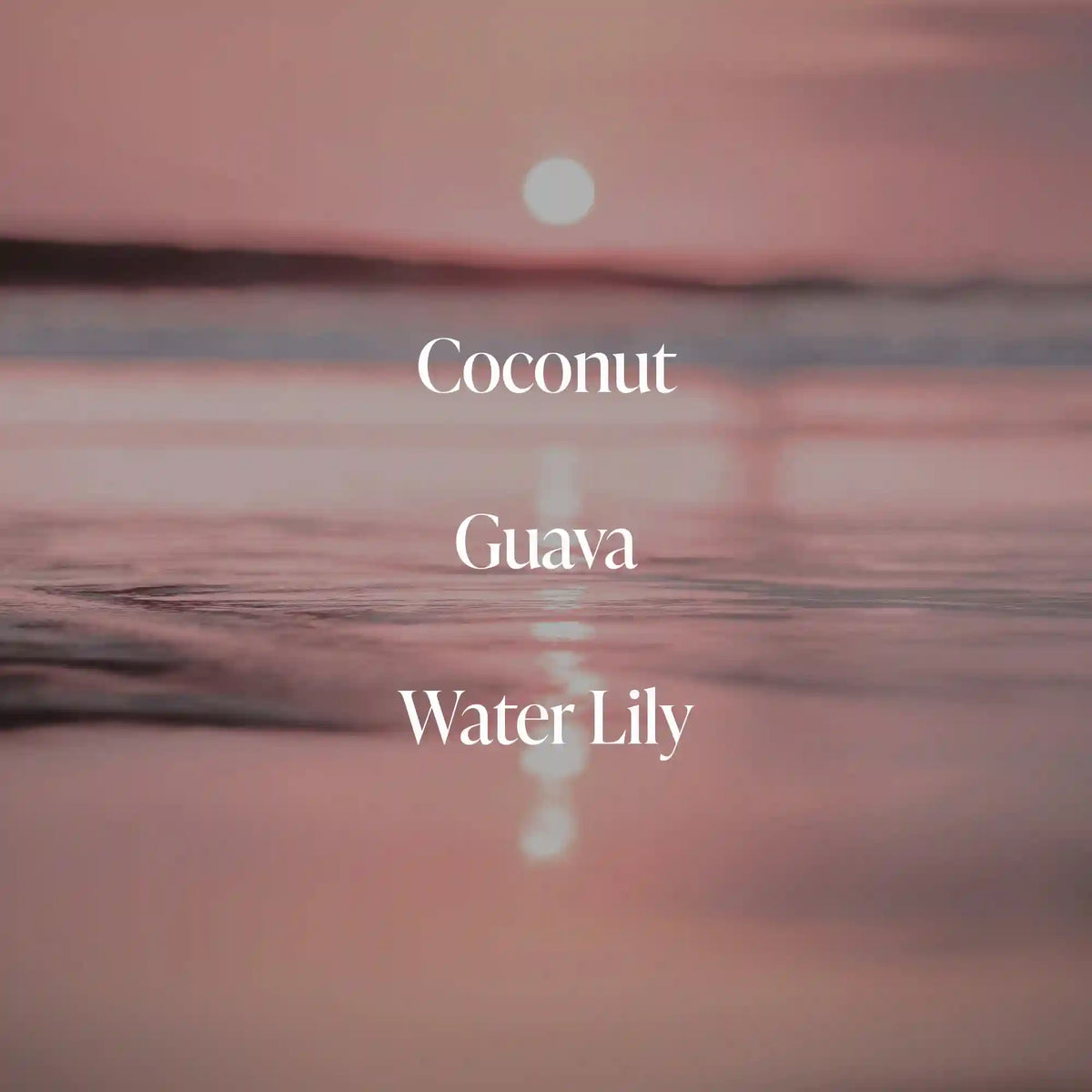 Coral Coast - Essentials Set